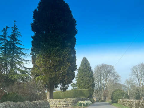 Queens Head Kettlesing主图