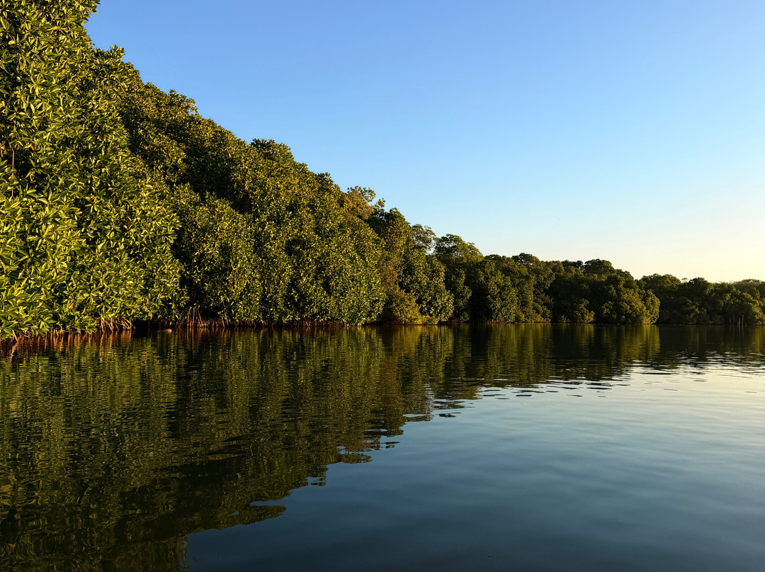 Kayak journey-Rekawa必去景点