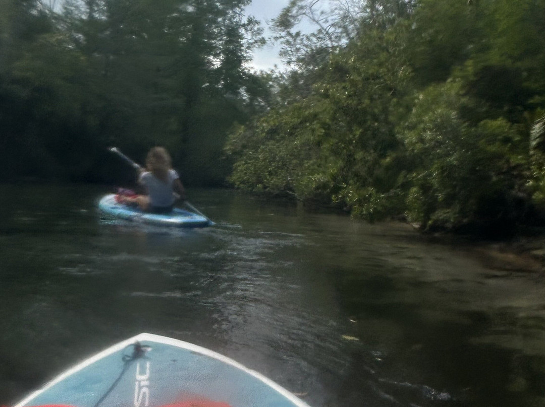 SUP Weeki (Stand Up Paddleboard)-Weeki Wachee必去景点