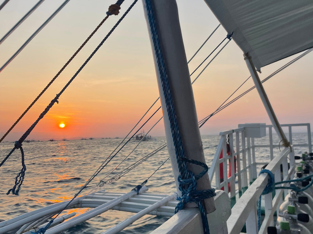 Mbi Divecenter-妈妈拍丝瓜岛必去景点