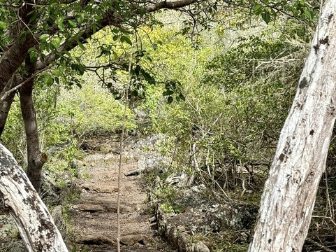 Galapaguera de Cerro Colorado-圣克里斯托瓦尔必去景点