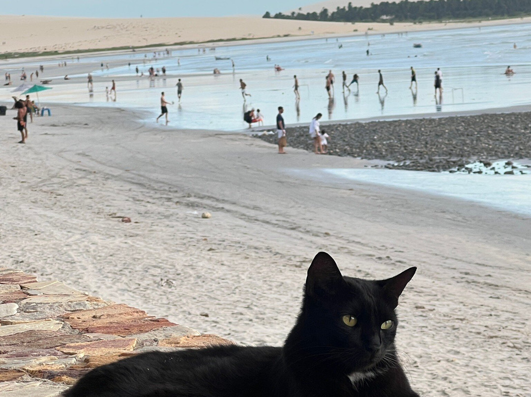 ClubVentos-杰里科科拉必去景点