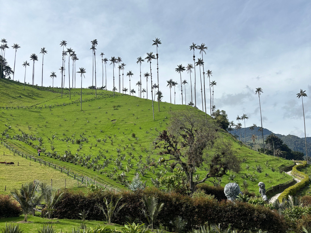 Rutas Cafeteras Tours-Circasia必去景点