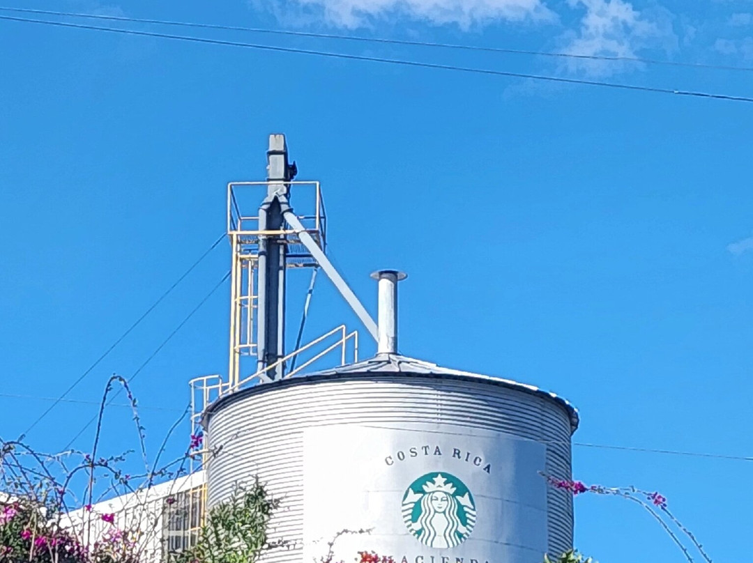 Hacienda Alsacia Starbucks Coffee Farm-Sabanilla必去景点