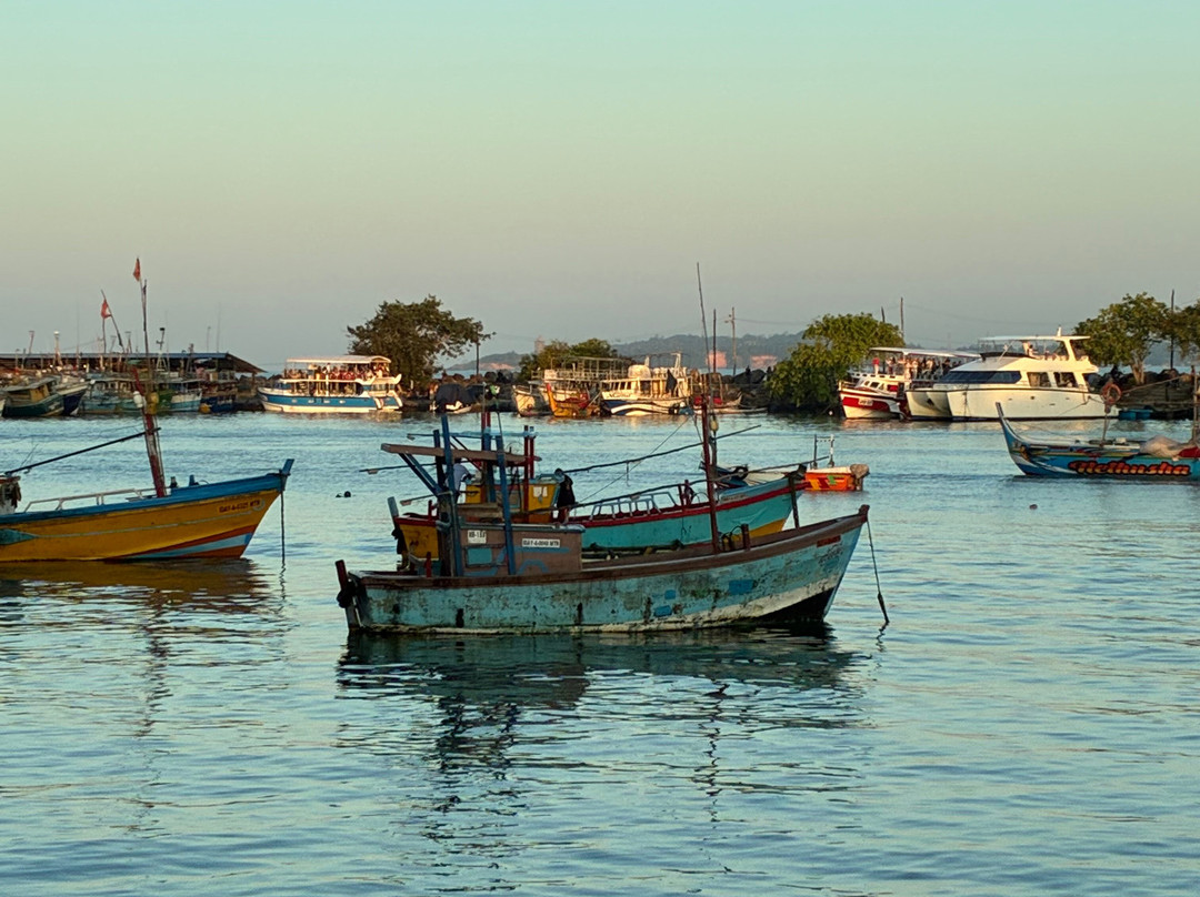 Bee Travels-康提必去景点
