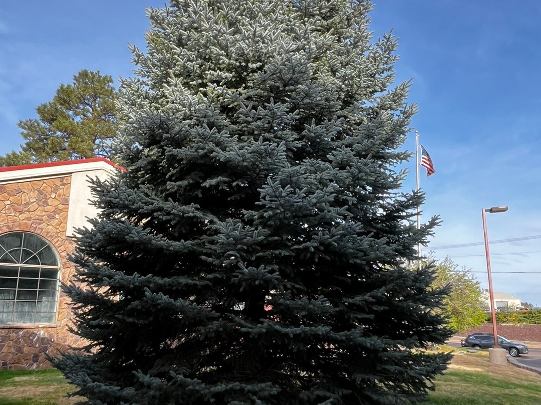 Holiday Inn Express 显示低主图