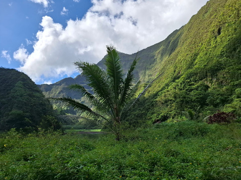 Tahiti Safari Expedition-阿鲁埃必去景点