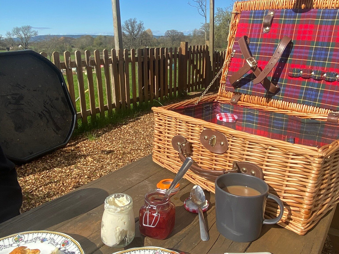 Somerset Sheep Trekking-Pitminster必去景点