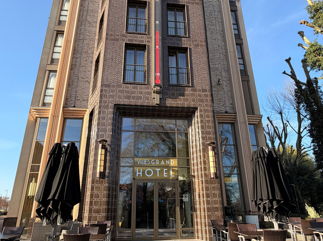 瓦利斯大酒店主图