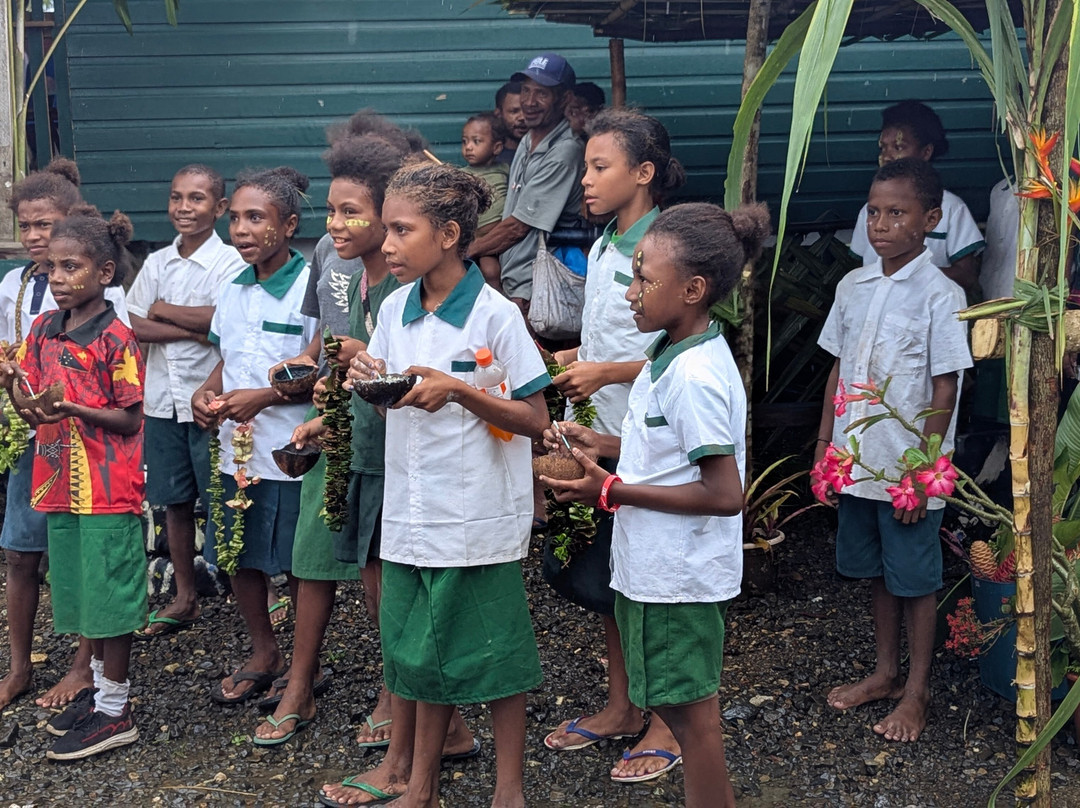 Alotau Land Tours-Alotau必去景点