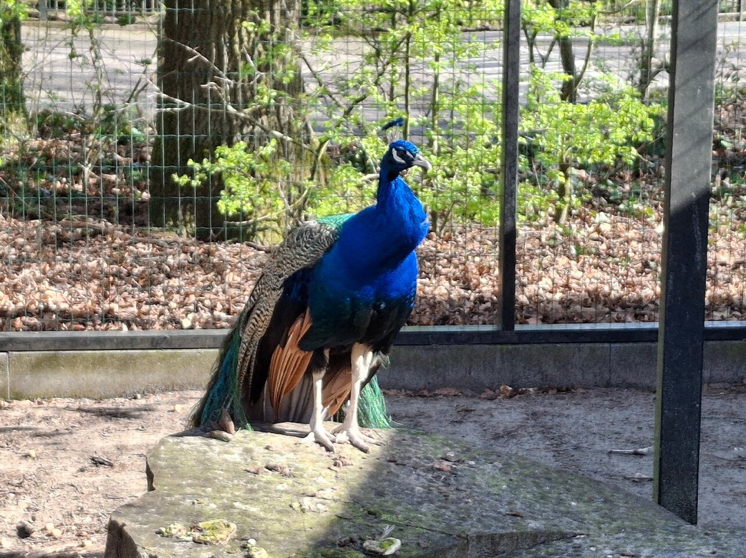 Openluchtmuseum Ootmarsum Het Land Van Heeren en Boeren-Ootmarsum必去景点