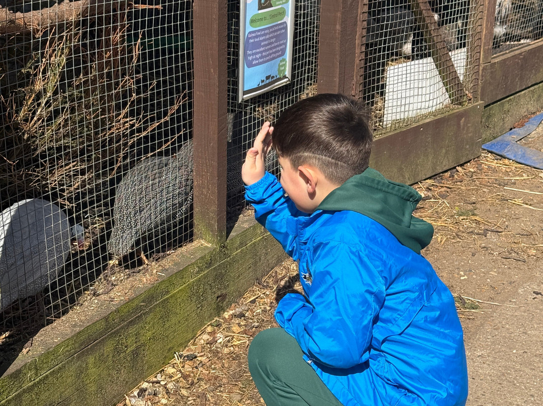 Thrift Farm-Whaddon必去景点