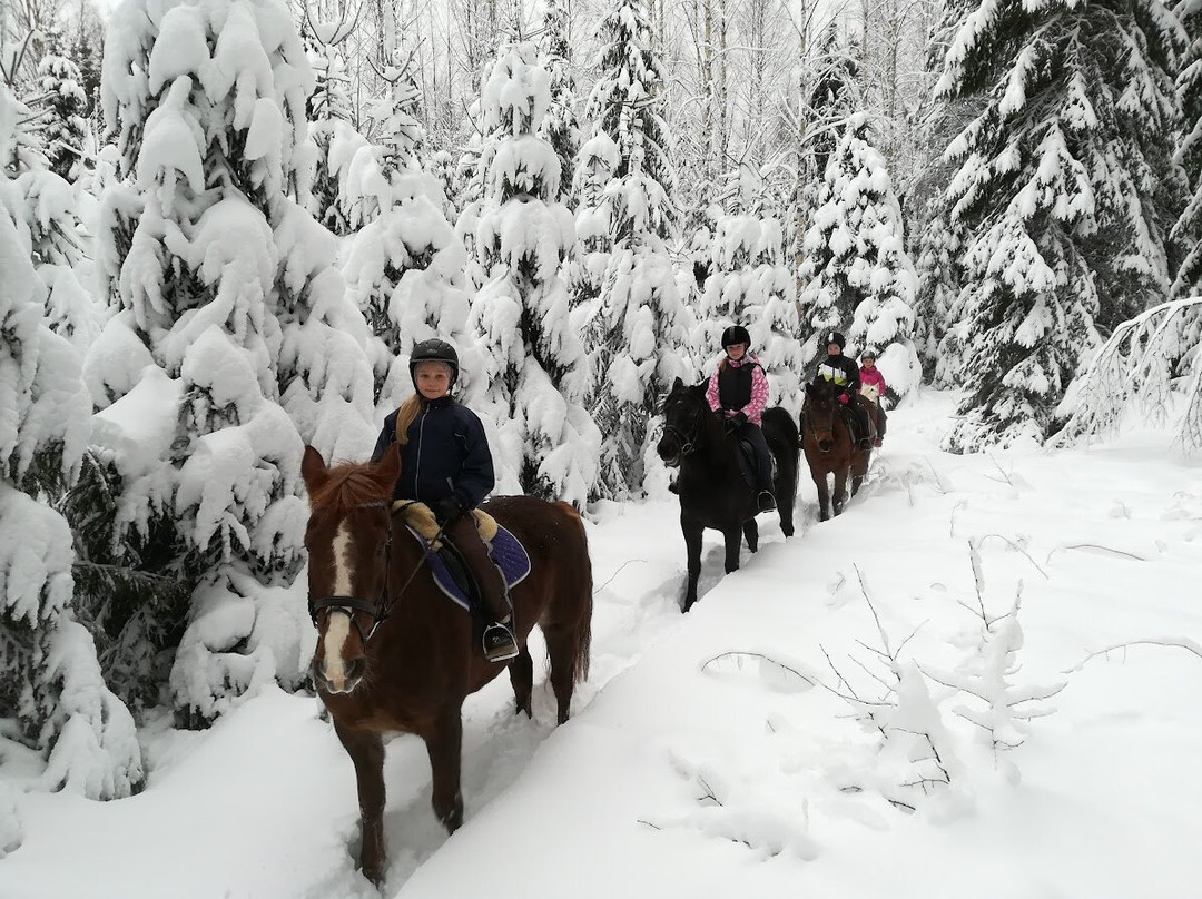 Ratsastus & Vikellys Rasipelto-Kangasniemi必去景点