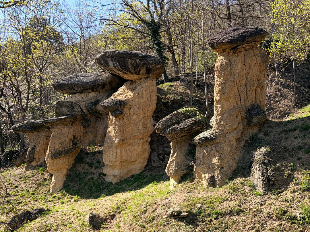 Riserva Naturale dei Ciciu del Villar-Villar San Costanzo必去景点