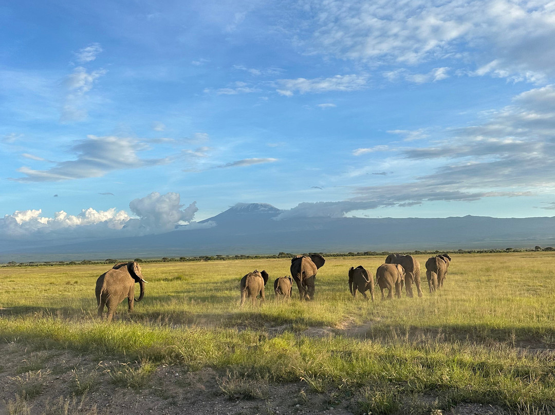Safari Lenana-瓦塔木必去景点
