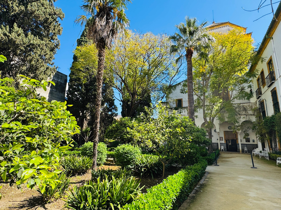 Palacio De Las Duenas-塞维利亚必去景点