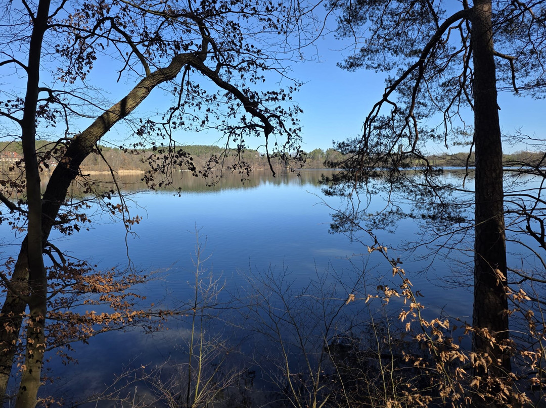 林登霍夫山丘酒店主图