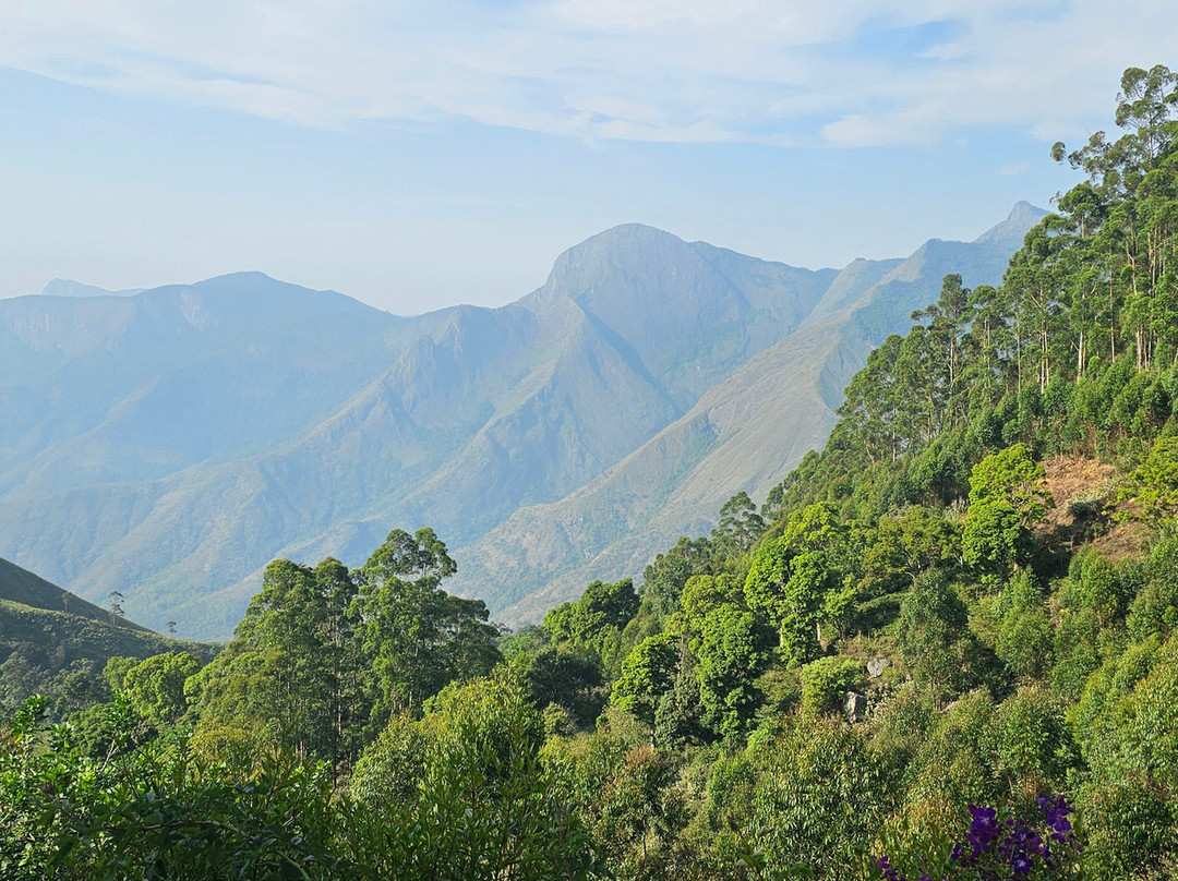 钱迪斯小雨滴酒店主图