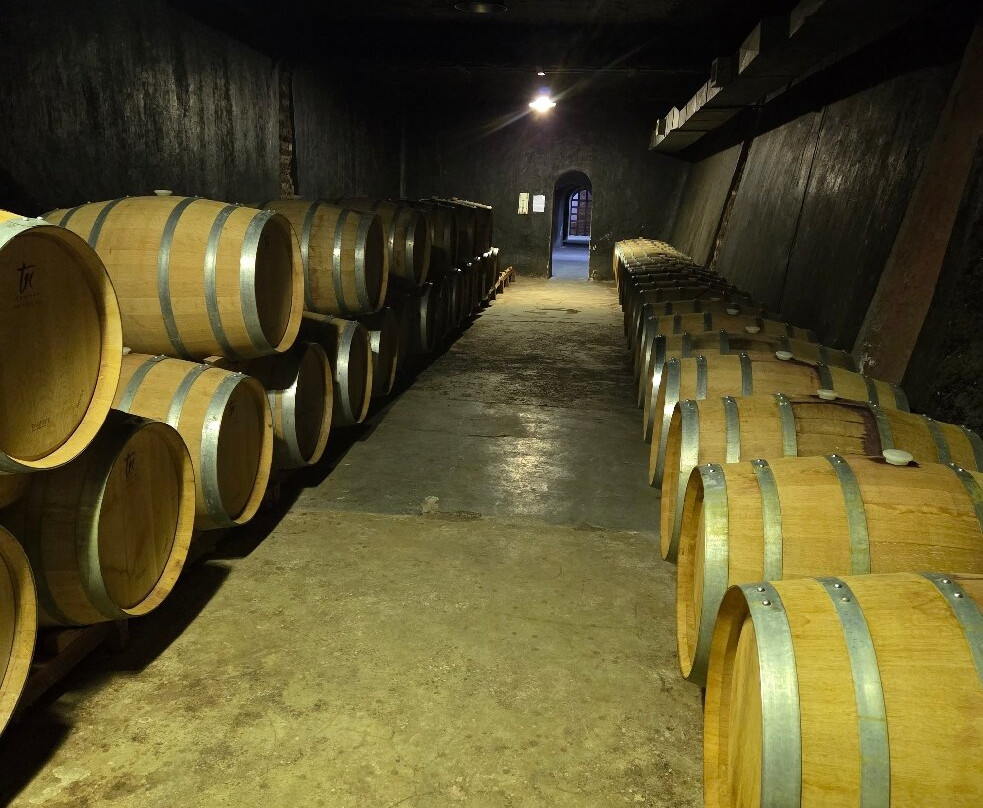 Bodega Goyenechea-圣拉斐尔必去景点