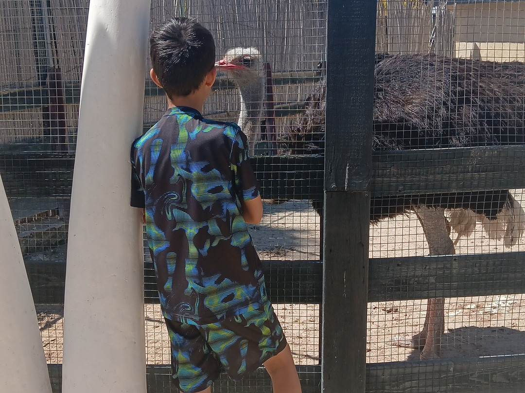 Carthage Land-Yasmine Hammamet必去景点