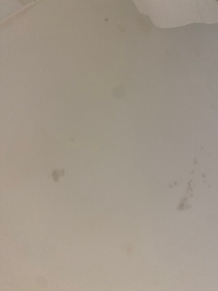 Holiday Inn 格拉斯哥国际机场-客卧