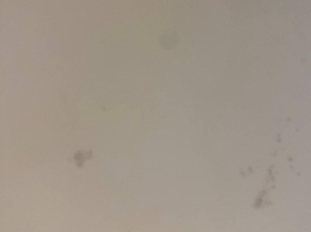 Holiday Inn 格拉斯哥国际机场主图