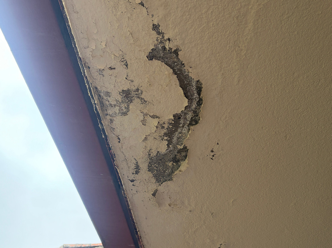 塞哥维亚旅馆主图