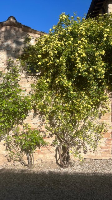 博尔戈德拉马尔莫塔酒店-旅行者