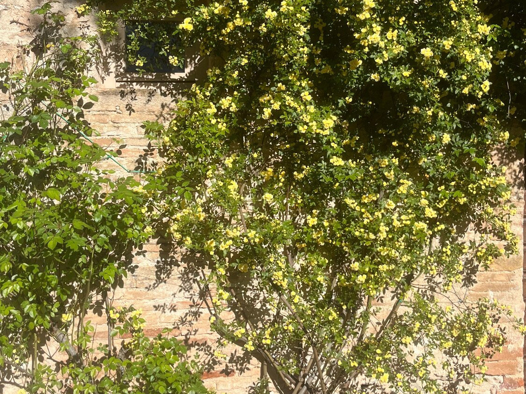 博尔戈德拉马尔莫塔酒店主图