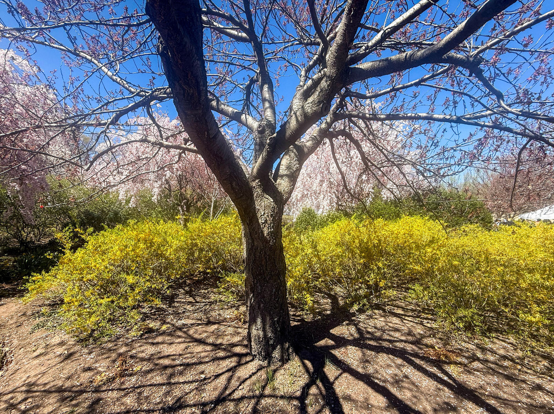 Branch Brook Park-纽瓦克必去景点