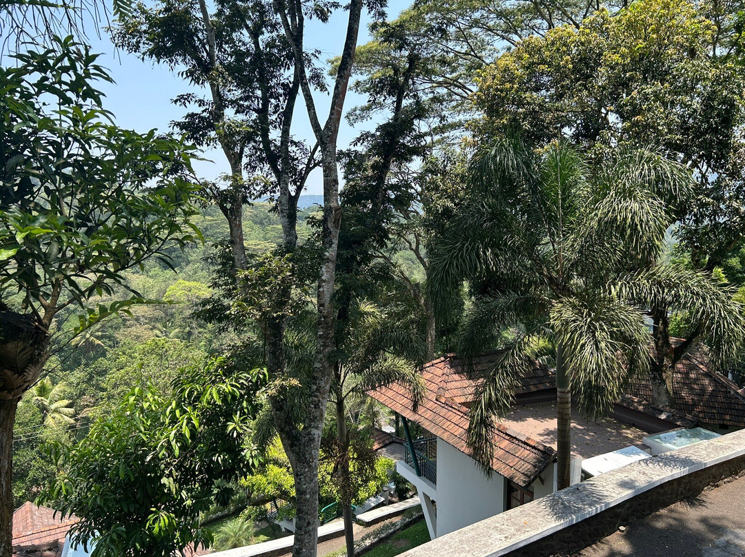 森冠度假村主图