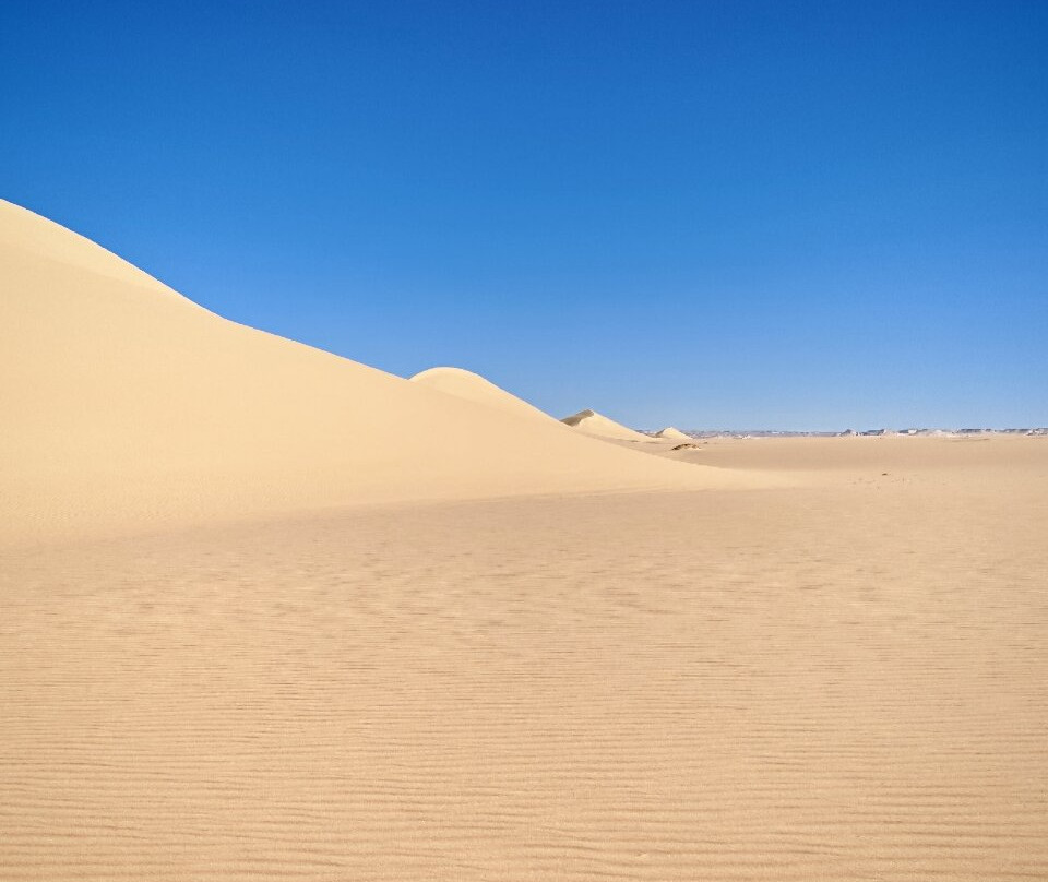 Egypt Western Desert Tours - Day Tour-Bawiti必去景点