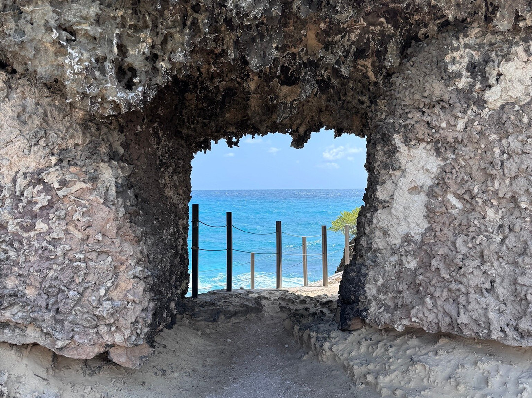 Punta Sur-女人岛必去景点