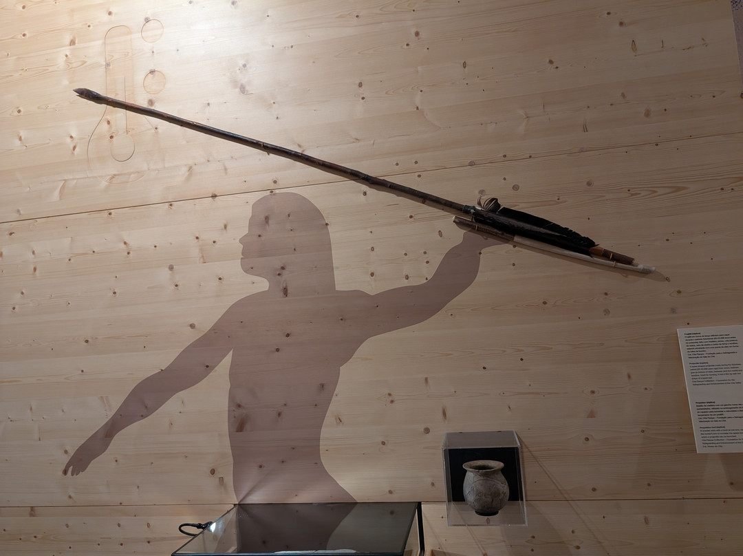 Museu do Douro-佩苏达雷瓜必去景点