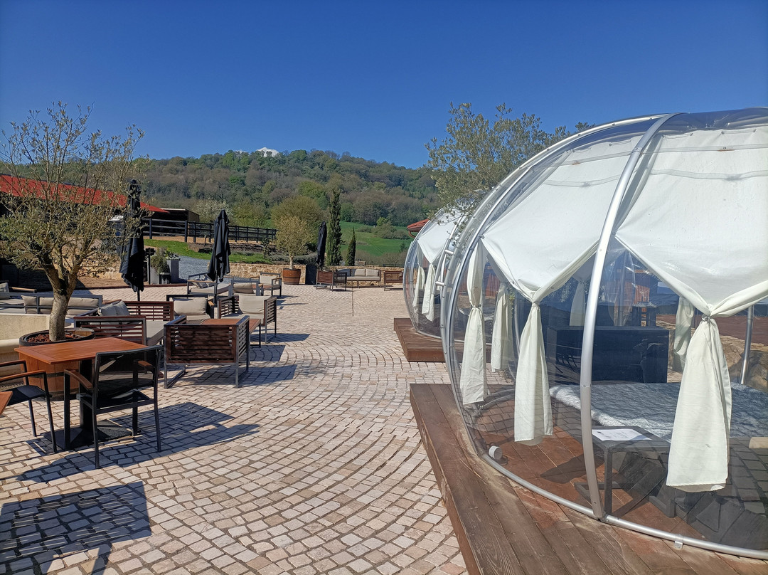 克劳斯区域酒店主图