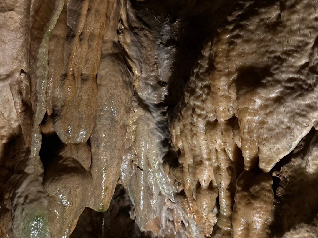 Linville Caverns-Marion必去景点