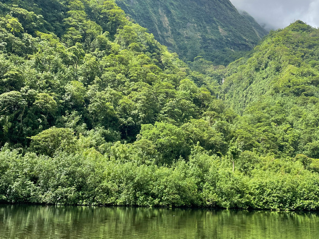 Karatu Expedition Safari-阿鲁埃必去景点