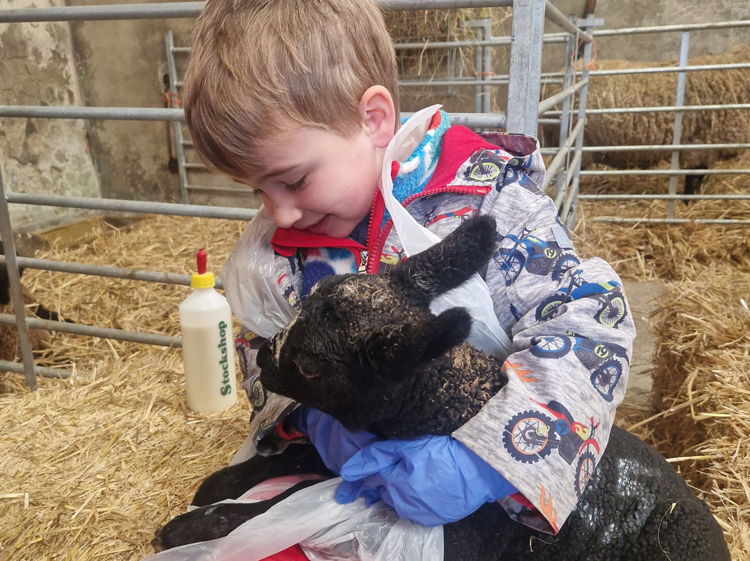 Craigbank Farm-Kilmarnock必去景点