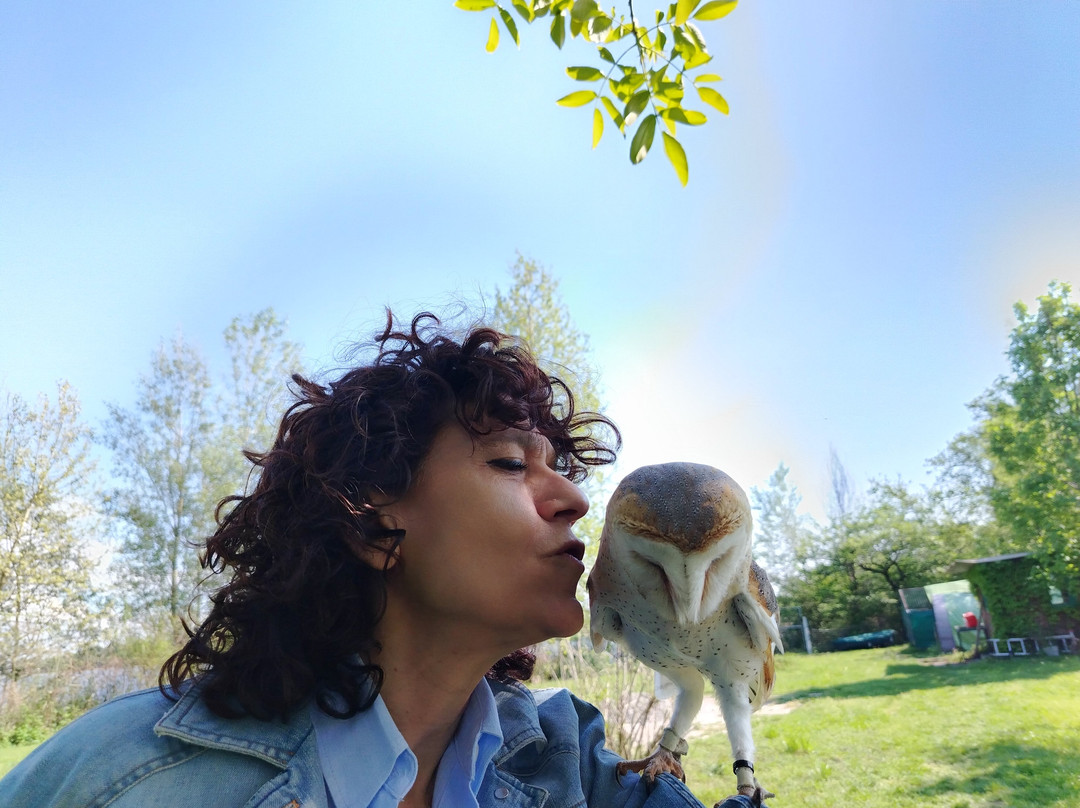 I Falconieri del Feudo-科莫必去景点