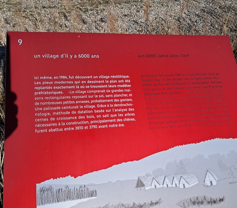 Laténium Parc et musée d'archéologie-Hauterive必去景点