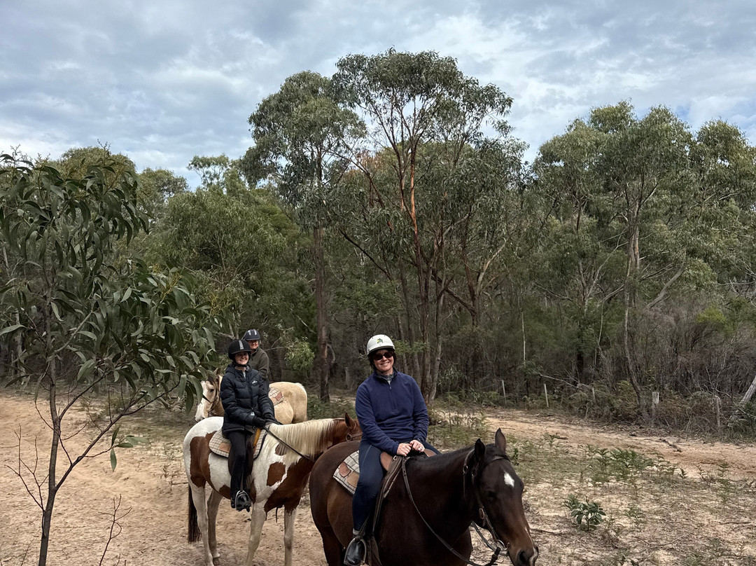 Spring Creek Horse Rides-贝尔布拉必去景点