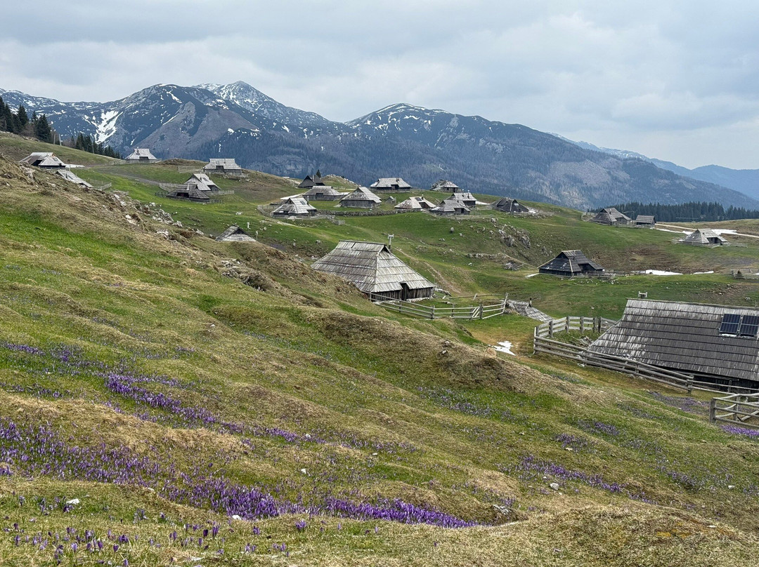 Velika Planina-Stahovica必去景点