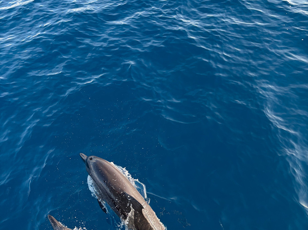 Sub Oceanic at Le Méridien Maldives Resort & Spa-Thilamaafushi必去景点