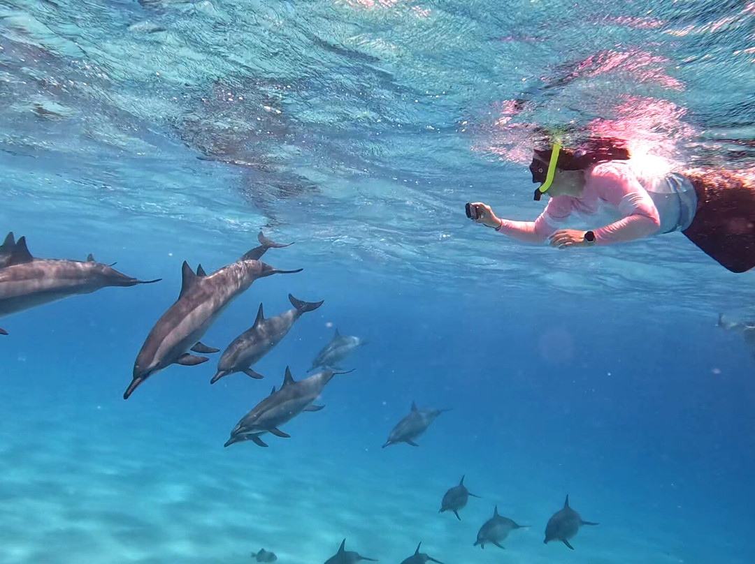 Marsa Alam Tours-马萨阿拉姆必去景点