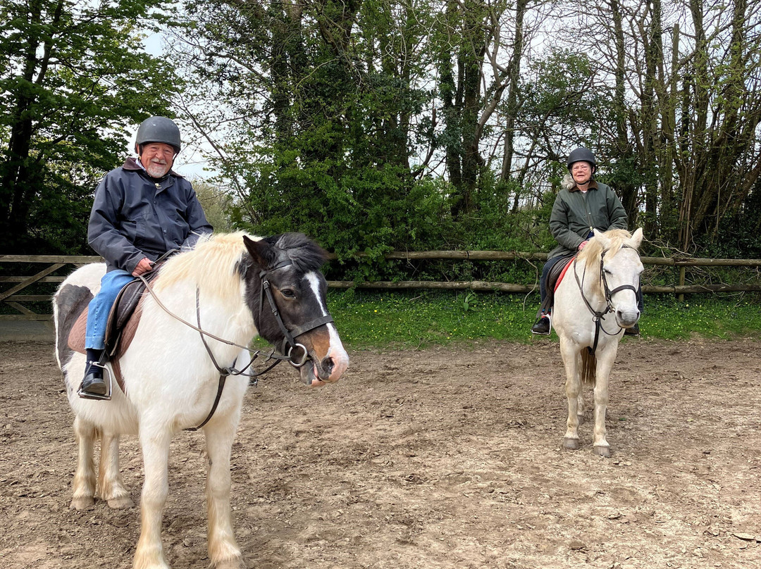 Crosswell Riding Stables-Crymych必去景点
