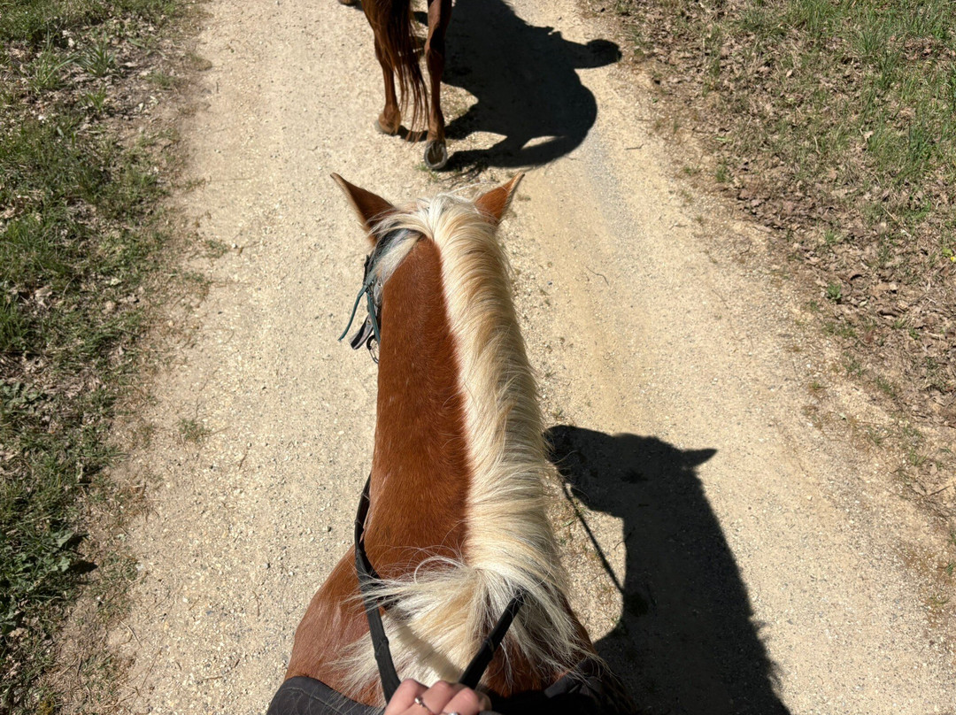 Paradiso Del Cavallo
