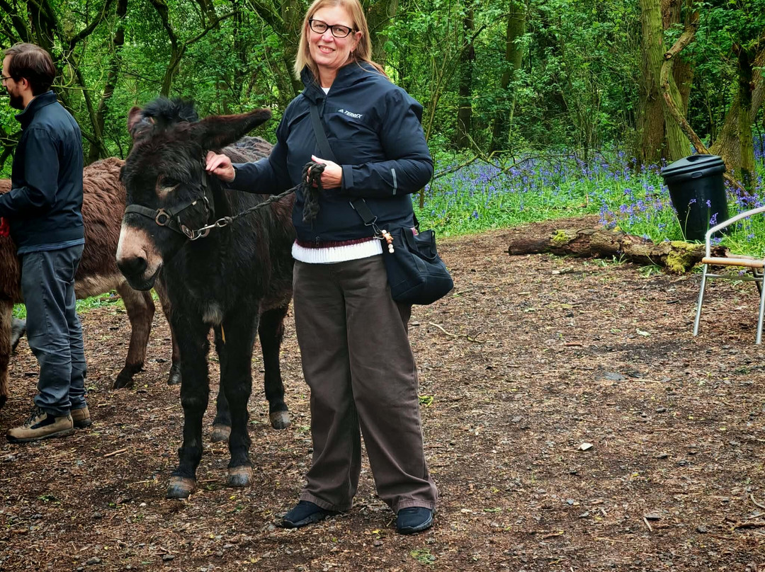 Charnwood Forest Alpacas-Boundary必去景点