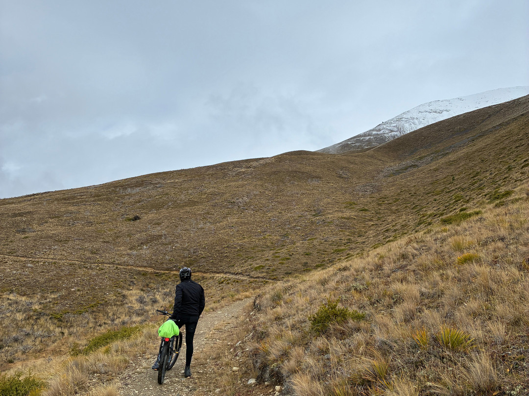 Cycle Journeys Twizel-特威泽尔必去景点