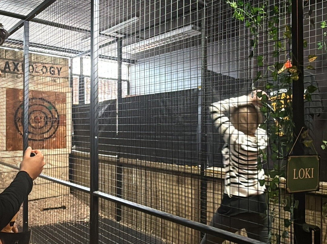Axeology Axe Throwing-南安普敦必去景点