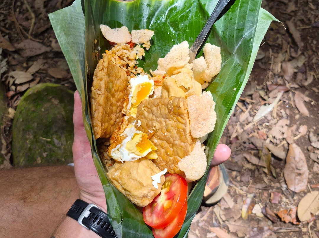 Trekking Orangutan Sumatra-武吉拉旺必去景点